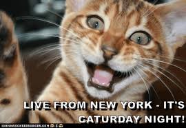 Saturday morning sea lion drank too much last night. Live From New York It S Caturday Night Lolcats Lol Cat Memes Funny Cats Funny Cat Pictures With Words On Them Funny Pictures Lol Cat Memes Lol Cats