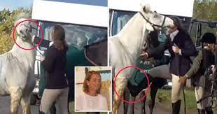 Teacher Sacked After Video Of Horse Being Punched And Kicked Sparks Outrage Metro News
