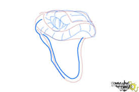 How To Draw A Snake Head Drawingnow The current function doing this is as follows and is called every. how to draw a snake head drawingnow
