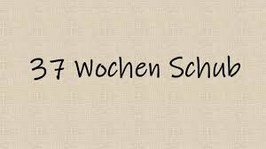 37 Wochen Schub Der 6 Entwicklungsschub