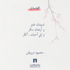 و إني أحبك أكثر محمود درويش عالم الأدب Arabic Quotes With Translation Cool Words Arabic Quotes