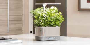 No matter where you live or what time of year it is. The 7 Best Indoor Garden Systems Of 2021