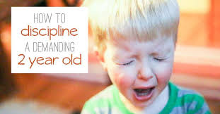 Disciplining a 2 year old. How To Discipline A Demanding 2 Year Old Hands On As We Grow