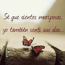 Pin En Curiosidades