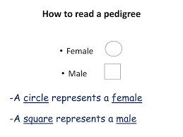 pedigrees part ppt download