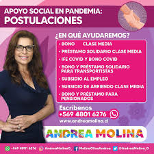 Las postulaciones se abrirán durante la tarde del sábado 17 de abril en una plataforma especial que. Otxyf3e2vihhnm