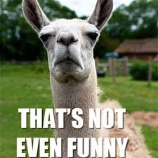 The Funniest Llama Memes Llama Del Rey Kendrick Llama And More Funny Llama Pictures Funny Animals Animal Memes
