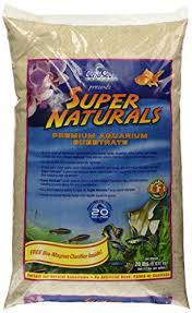 Best Substrate For Bettas Here S What You Need To Know