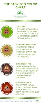 how to become a baby poop expert organicbabyfood shop