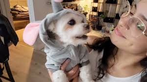 Fundraiser by Sofia Barquero : Help Give Benji a Loving Goodbye