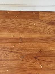 In addition, you get to additional shelves as well as drawers for your use. Woke Up To These All Over The Kithen Floor What Is Whatisthisthing