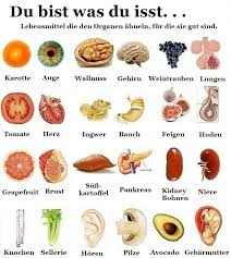 Der hohe kaliumanteil ist sehr vorteilhaft für die flüssigkeitsbalance in unserem körper und für den blutfluss. Werner Becker On Twitter Lebensmittel Die Organen Ahneln Und Die Gut Fur Sie Sind Lebensmittel Kinesiologie