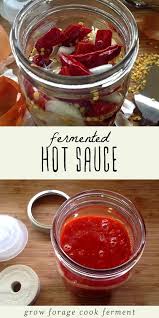 How To Make Fermented Hot Sauce Recipe Fermentation Recipes Hot Sauce Recipes Homemade Hot Sauce