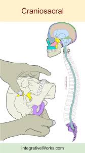 Pin On Kst Osteopathy Kinesiology