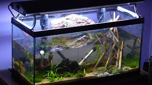 Aquarium Thermometer Pros And Cons