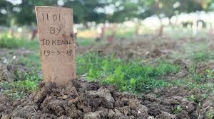 Cinta si penggali kubur (2019). Face Of Jakarta Peruntungan Para Penggali Kubur Mister X