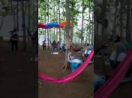 Bayu ayo dadah sm ayah.dadah. Liburan Kita Hari Ini Ke Sindang Panon Hutan Jati Pasar Kemis Tangerang Youtube