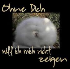 Hier Findest Du Gb Bilder Aus Der Kategorie Ohne Dich Für Dein