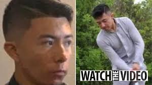 Britain's top soldier being probed for 'romping with junior colleague's  wife'