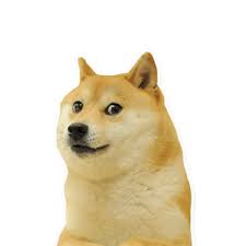 Maybe you would like to learn more about one of these? Meme Stickers Apps Bei Google Play