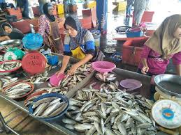 Ikan ini hanya boleh ditemui di sarawak & harganya mahal kerana rasanya yg sangat mani, serta isi & teksturnya yg lembut. Harga Ikan Kembung Turun Rm3 Sekilogram