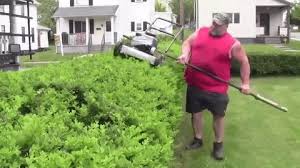 Lawn mower maintenance is also very important. Garden Landscapes Gifs Get The Best Gif On Giphy