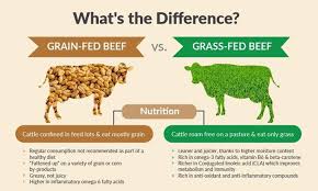 Frankie S Free Range Meat Suspended By Frank Tufano Kickstarter Inflammatory Foods Organic Meat Beef Nutrition