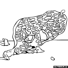 Salvador Dali The Enigma Of Desire In 2020 Coloring Pages Dali Paintings Online Painting