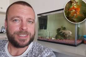 My goldfish outlasted my 2 divorces — he's grey now but will outlive us all