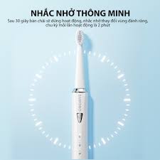 Bàn chải điện đánh răng SAMONO SW-ET01 – VNAMALL