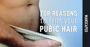 As humans, we spend a large portion of our lives shaving.we spend an even larger portion of our lives dreading, avoiding, or attempting to shave our pubic hair.for men in particular, the practice. Top Reasons To Trim Your Pubic Hair Manscaped Blog