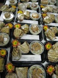 Executive Boxed Lunches For Corporate Meetings Or Events Various Sandwich Selections Are Available Food For A Crowd Lunch Catering Food