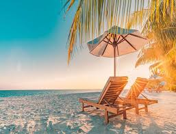 Kate Summer Holiday Plam Tree Beach Deck Chair Backdrop Visit Maldives Adventure Destinations Summer Travel