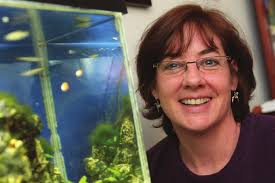 Taking aim at absolute zero