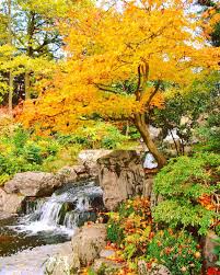 Kyoto Japanese Gardens In Kensington S Holland Park Kyoto Garden Japanese Garden Holland Park
