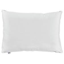 Who should purchase this pillow: Sealy Firm Support Back Side Sleeper Cotton Bed Pillow Bed Bath Beyond