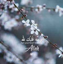 Pin On I Am Muslim