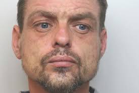 Chester elephant's coat of many colours