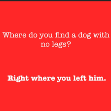 The following are some of the best knock knock jokes that. Best Corny Jokes