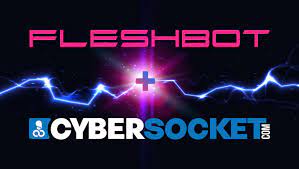 Cybersocket Merges With Fleshbot Gay | AVN