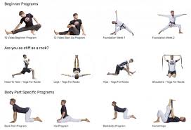 There are some absolute killers currently coming from these schools. How To Become More Flexible For Brazilian Jiu Jitsu The Mma Guru Flexibility Workout Body Workout At Home How To Do Yoga