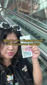 Singapore Hawker Centres Payment