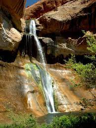 Check spelling or type a new query. Lower Calf Creek Falls Grand Staircase Escalante National Monument Canyon Hiking
