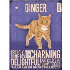 Black And White Tabby Cat Breeds Cat Breeds Fridge Magnet Fun Novelty Ginger Black Tabby Black White Kotyata Koshechka Koshki