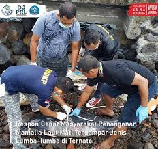 Silakan daftar segera pada lowongan kerja pt pelindo 1 cabang belawan di bawah ini. Lowongan Loka Pengelolaan Sumberdaya Pesisir Dan Laut Pspl Sorong Pusat Lowongan Cpns Bumn 2021 Pusatinfocpns Com