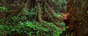 Peter Pan 2003 Hideout Neverland Peter Pan Fairy Tales