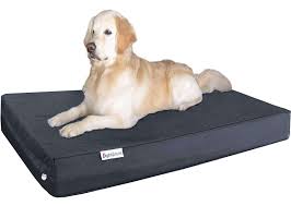 The dog bed should be slightly larger than your pet to accommodate the many positions dogs. The 7 Best Orthopedic Dog Beds Of 2021