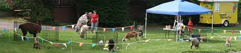 Most petting zoos on gigsalad will travel to your event to offer all kinds of animal fun! Petting Zoo Parties Traveling Mobile Petting Farm Party Pennsylvania Pa