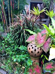 Tropischer Garten Thailand Garten Thailand Tropischer Tropical Garden Design Tropical Landscaping Tropical Garden