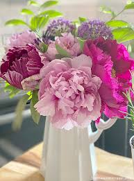 1 making plant food with lemon juice. Diy Flower Food To Keep Your Flowers Fresh Hymns And Verses